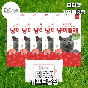 터터펫 냥이줄래 연어맛 85g 터터펫기프트 증정 고양이 템테이션 길냥이 스낵 파우치 생선맛 간식, 5개