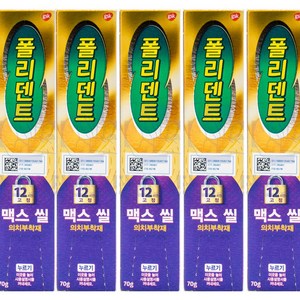 [폴리덴트] 맥스 씰 의치 부착재 70g *5개, 1개입, 5개