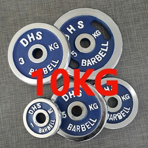 DHS 도금원판, 10kg, 1개