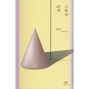 백의 그림자:황정은 장편소설, 황정은, 창비