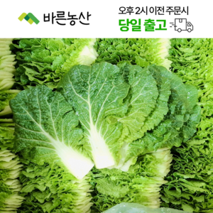 < 바른농산 > 국내산 쌈추 쌈배추 쌈채소, 1개, 2kg