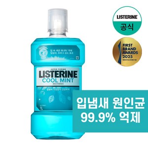 리스테린 쿨민트 구강청결제, 1L, 1개