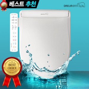 대림바스 최고급 좌욕 버블 집중세정 리모콘 비데 커브드노즐 DDS-S250AS, 방문설치