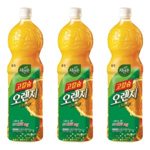 자연은 고칼슘 오렌지 페트 1.5L, 12개