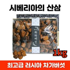 프리미엄 러시아 차가버섯 추석 명절 선물세트 시베리아의 산삼 최고급 부모님 명절선물, 1개, 1kg