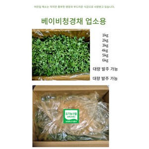 [바오농장] 대용량 벌크 유기농 어린잎 채소 청경채 1kg 2kg 식당용 업소용, 1박스