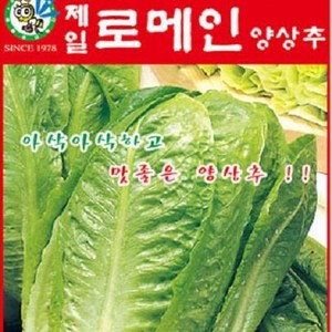 [가람종묘사] 청로메인상추 씨앗(로마에서 즐겨먹던 맛이 일품인 고급 포기 상추 청메인양상추 품종), 1개