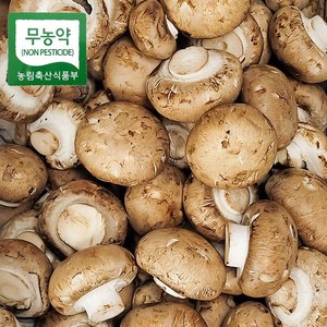 친환경 브라운 양송이 실속형 2kg 무농약인증 보령 청정지역 버섯, 1개