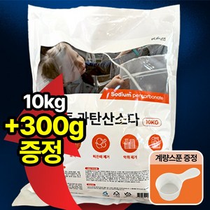 더푸룸 다용도 과탄산소다 대용량 산소계표백제, 1개, 10kg