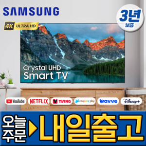 삼성전자 65인치 TV 최신형 크리스탈 UHD 4K 스마트 LED 유튜브 넷플릭스 디즈니 미러링 65CU7000, 방문설치, 벽걸이형