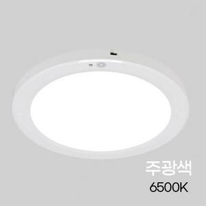 비츠온 원형 LED 센서등 엣지 10인치 20W, 주백색, 1개