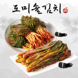 도미솔 맛있는 갓김치 1kg+파김치 1kg(총2kg), 상세 설명 참조, 단일옵션