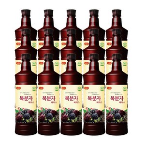 광야 음료 복분자 베이스 970ml x 15개