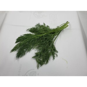 싱싱한 허브딜 10 g 생잎 향신료, 1개