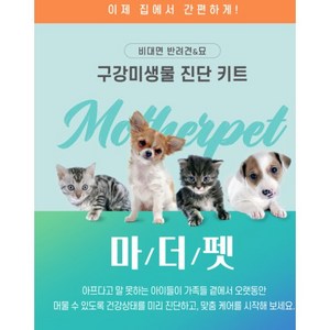 마더펫 미생물검사 강아지 고양이 건강검진 키트, 1개