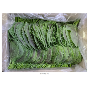 국내산 잎채소 깻잎 1kg 500g 향긋한 당일선별 찹찹이깻잎 들깻잎[원산지:국산], 1개
