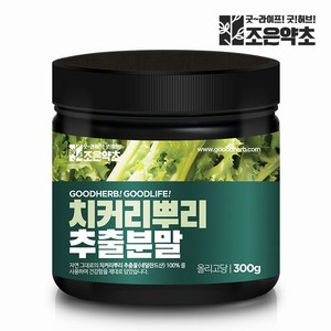 치커리 뿌리 추출물 100% 분말 가루 300g, 1개