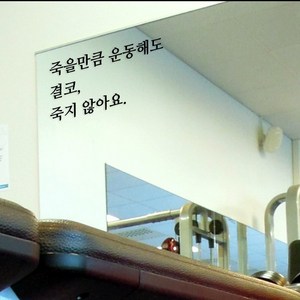 헬스장 스티커 레터링 글자컷팅 글씨 시트지 다이어트 명언, 죽을만큼 운동해도 결코 죽지 않아요(대), 고딕체, 블랙