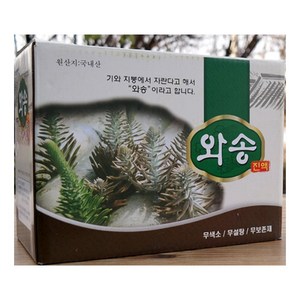 와송즙 100ml 60포, 60개