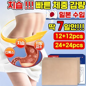 12매+12매 뱃살 다이어트 복부패치 바디배꼽패치 체중 감소 효과보장, 2개, 12개입