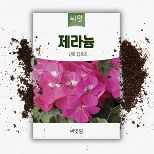 제라늄씨앗 (5립) 핀토 딥로즈, 1개