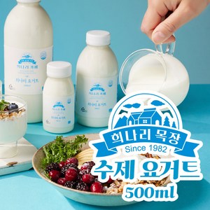 희나리 수제요거트 500ml, 1개