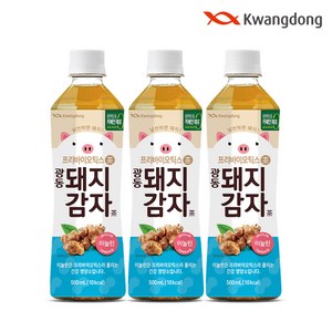 광동 돼지감자차 500ml x 12pet, 12개