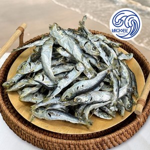 남해안 햇 국물용 솔치 청어(정어리) 멸치 상급 (육수용), 1개, 1kg