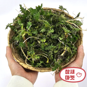 참새마켓 손질냉이, 1개, 2kg