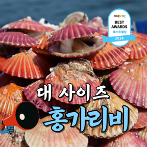 [큰사이즈] 통영 제철 홍가리비, 2개, 대사이즈 1kg (20미 내외)