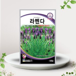 솔림텃밭몰 허브씨앗 라벤다씨앗 100립 라벤더 라벤다 허브씨, 1개