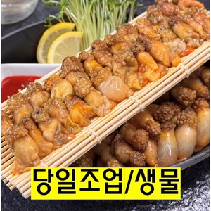[산지직송] 제철판다 국산 진동 미더덕 생물 손질 참미더덕 오만둥이, 1개, 미더덕 500g(생물)
