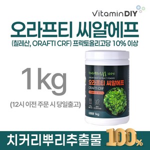 치커리뿌리추출분말 (100%) 칠레 ORAFTI CHILE S.A. [1kg] / [비타민DIY 100시리즈], 1개, 1kg