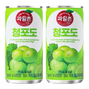 해태 과일촌 청포도 175ml x90캔, 90개