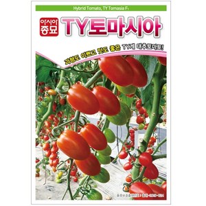 [NEW/최신종묘][BEST/발아율90%이상] 토마토씨앗종자 TY토마시아 (20립) 대추방울토마토, 1개