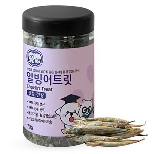 펫티즈 동결건조 큐브 트릿 강아지 고양이 간식, 70g, 1개, 열빙어