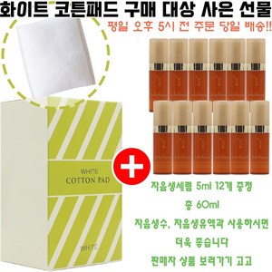 화이트코튼 구매시 샘플 자음생세럼 5ml 12개 증정(총 60ml/주름기능성/빠른발송), 1개