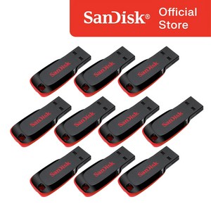 샌디스크 크루저 블레이드 USB 플래시 드라이브 SDCZ50-016G 10p, 16GB, 10개