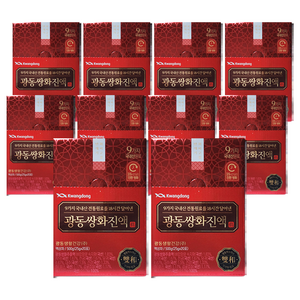 광동 쌍화진액, 500g, 10박스