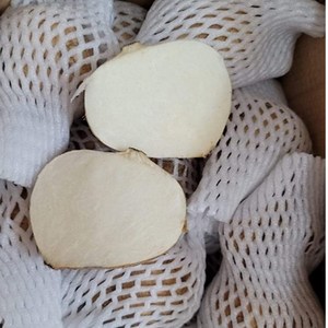 베트남 히카마 ( JICAMA ) 얌빈 YAM BEAN CU DAU, 10kg, 1박스