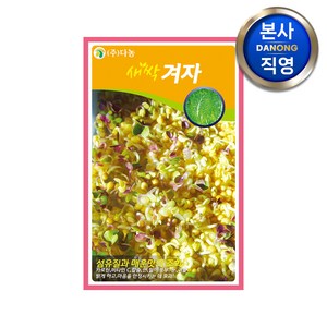 새싹 겨자 씨앗 30g . 무소독 채소 수경 재배 씨 종자