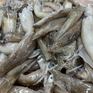 자연산 생물 급냉 총알한치 500g(17미 내외) 내장 통찜, 1개, 총알한치 1kg(500g*2팩)