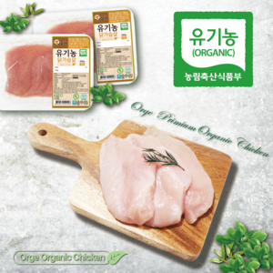 자체브랜드 [올계] 유기농 닭가슴살 (냉동), 2개, 300g