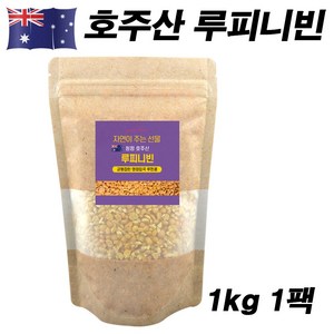 에코홀릭 루피니빈 호주산 루피니빈콩 루핀콩, 1개, 1kg