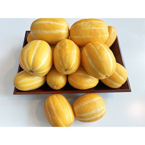 [디얼스마켓] 당일수확 성주 꿀 참외 산지직송 달콤 아삭 당도 보장, 1박스, 못난이 참외 5kg
