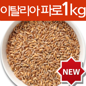 하늘정연 Farro 이탈리아 파로 곡물 파로쌀 고대곡물 엠머밀 효능 엠머파로, 1개, 1kg