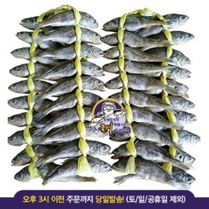 [특가1+1] 놀부장수 영광법성포굴비 40마리 영광굴비, 1.1kg, 2개