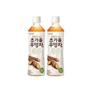 롯데 초가을 우엉차 500ml, 12개