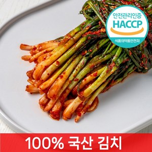 [전라도찐맛] 당일제조 파김치, 1개, 1kg