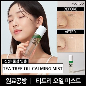 원료공방 티트리 오일 카밍 진정 미스트 100ml 1개